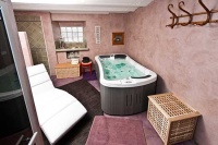 Мини спа бассейн Hydropool Serenity 2 SE Мини спа бассейн Hydropool Serenity 2 SE